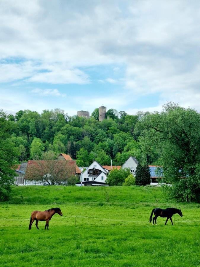 Ferienhaus Diemelaue Mit Klimaanlage バート・カールスハーフェン エクステリア 写真